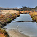 Le héron blanc par Charlottess - Saintes Maries de la Mer 13460 Bouches-du-Rhône Provence France