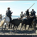 Abrivado aux Saintes Maries de la Mer by michel.seguret - Saintes Maries de la Mer 13460 Bouches-du-Rhône Provence France