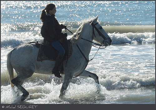 Randonnée à cheval - Le sabot marin par michel.seguret