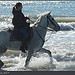 Randonnée à cheval - Le sabot marin by michel.seguret - Saintes Maries de la Mer 13460 Bouches-du-Rhône Provence France