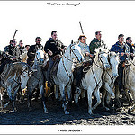 Camargue, sable de traditions ... by michel.seguret - Saintes Maries de la Mer 13460 Bouches-du-Rhône Provence France