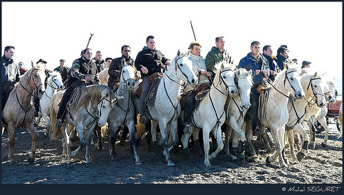 Camargue, sable de traditions ... par michel.seguret