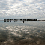 Camargue - étang et infinité par _atram_ - Saintes Maries de la Mer 13460 Bouches-du-Rhône Provence France