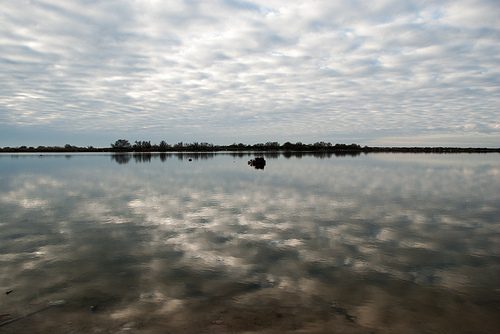 Camargue - étang et infinité par _atram_