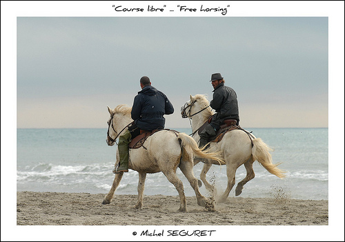 Course libre sur la plage / Free horsing by Michel Seguret