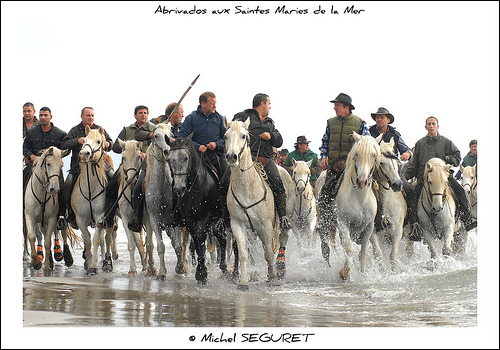 Chevauchée à Saintes Maries de la Mer par Michel Seguret