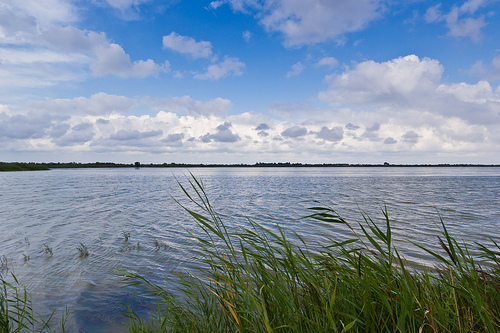 Camargue - Étang du Ginés by spanishjohnny72