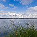 Camargue - Étang du Ginés par spanishjohnny72 - Saintes Maries de la Mer 13460 Bouches-du-Rhône Provence France