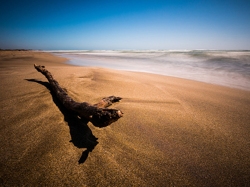 Plage de Camargue par arsamie