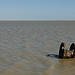 Etang des Launes par pizzichiniclaudio - Saintes Maries de la Mer 13460 Bouches-du-Rhône Provence France