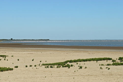 Etang des Launes en Camargue by pizzichiniclaudio