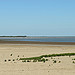 Etang des Launes en Camargue by pizzichiniclaudio - Saintes Maries de la Mer 13460 Bouches-du-Rhône Provence France