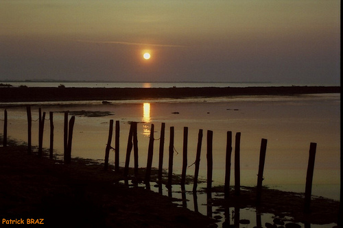 Lever du jour en camargue par Patchok34