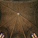 la collégiale Saint-Laurent par Dominique Pipet - Salon de Provence 13300 Bouches-du-Rhône Provence France