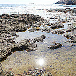 Balade au bord de mer par sabinelacombe - Sausset les Pins 13960 Bouches-du-Rhône Provence France