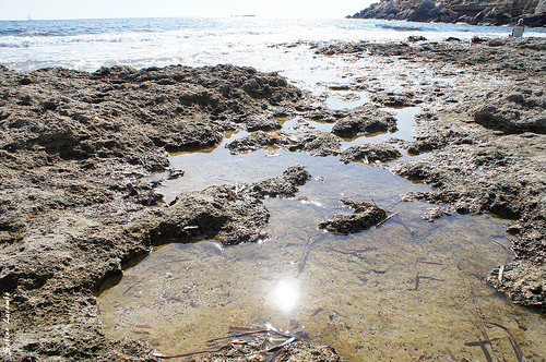 Balade au bord de mer par sabinelacombe