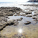 Balade au bord de mer par sabinelacombe - Sausset les Pins 13960 Bouches-du-Rhône Provence France