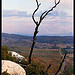 Reste d'un pin brûlé sur la Sainte-Victoire by Patchok34 - St. Antonin sur Bayon 13100 Bouches-du-Rhône Provence France