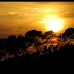 Le soleil se cache derrière les pins par Patchok34 - St. Antonin sur Bayon 13100 Bouches-du-Rhône Provence France