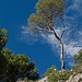 Randonnée dans les sentiers de la Sainte-Victoire par jenrif - St. Antonin sur Bayon 13100 Bouches-du-Rhône Provence France