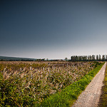 Open by ethervizion - St. Etienne du Gres 13103 Bouches-du-Rhône Provence France