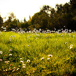 Bliss par ethervizion -   Bouches-du-Rhône Provence France