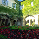 Monastery Saint-Paul de Mausole garden par wanderingYew2 - St. Rémy de Provence 13210 Bouches-du-Rhône Provence France