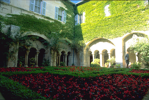 Monastery Saint-Paul de Mausole garden by wanderingYew2