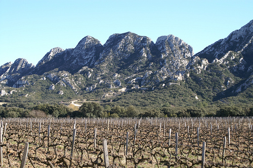 Massif des Alpilles par salva1745