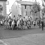 Bull Run at St Remy-de-Provence par Arpita Basu - St. Rémy de Provence 13210 Bouches-du-Rhône Provence France