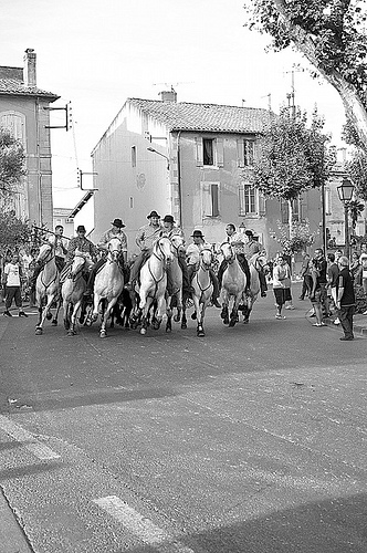 Bull Run at St Remy-de-Provence par Arpita Basu