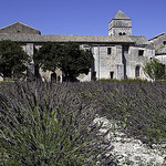 Le jardin de Van Gogh - Saint Paul de Mausole par Rainer ❏ - St. Rémy de Provence 13210 Bouches-du-Rhône Provence France