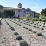 Prieuré de Saint-Paul de Mausole by salva1745 - St. Rémy de Provence 13210 Bouches-du-Rhône Provence France