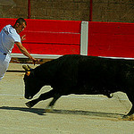 Corrida  by gi0rdan0 brun0 - St. Rémy de Provence 13210 Bouches-du-Rhône Provence France