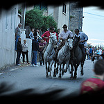 Bandido : le retour des taureaux by salva1745 - St. Rémy de Provence 13210 Bouches-du-Rhône Provence France