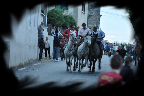 Bandido : le retour des taureaux by salva1745