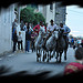 Bandido : le retour des taureaux par salva1745 - St. Rémy de Provence 13210 Bouches-du-Rhône Provence France