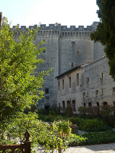 Château de Tarascon - la basse cour par Vaxjo