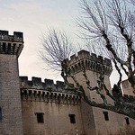 Le château du roi René à Tarascon par Cilions - Tarascon 13150 Bouches-du-Rhône Provence France