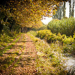 Autumn perspective in Tarsacon par ethervizion - Tarascon 13150 Bouches-du-Rhône Provence France