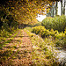 Autumn perspective in Tarsacon by ethervizion - Tarascon 13150 Bouches-du-Rhône Provence France