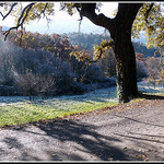 Givre sur le sol, l'avancement de brouillard, provence en hiver par J@nine - Vauvenargues 13126 Bouches-du-Rhône Provence France