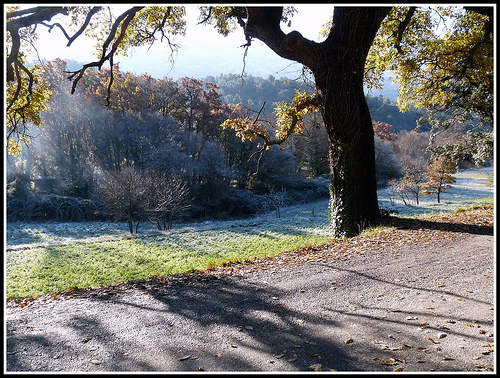 Givre sur le sol, l'avancement de brouillard, provence en hiver par J@nine