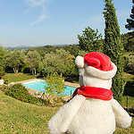 Le Mas du Grand Pin (piscine) - Ventabren par Meteorry - Ventabren 13122 Bouches-du-Rhône Provence France