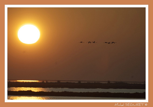 Camargue éternelle by michel.seguret