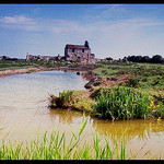 Couleurs de Camargue by Patchok34 -   Bouches-du-Rhône Provence France