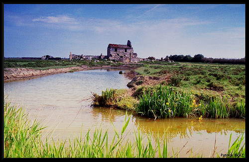 Couleurs de Camargue by Patchok34