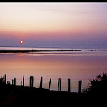 Levé du jour en Camargue par Patchok34 -   Bouches-du-Rhône Provence France