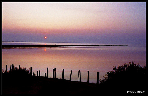 Levé du jour en Camargue par Patchok34