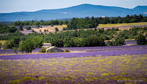 avignon paysage - Image